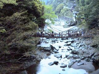 Kazura bridge